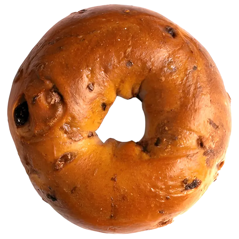 cinnamon raisin bagel
